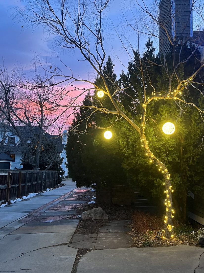 Light orbs hanging in a tree along a front sidewalk