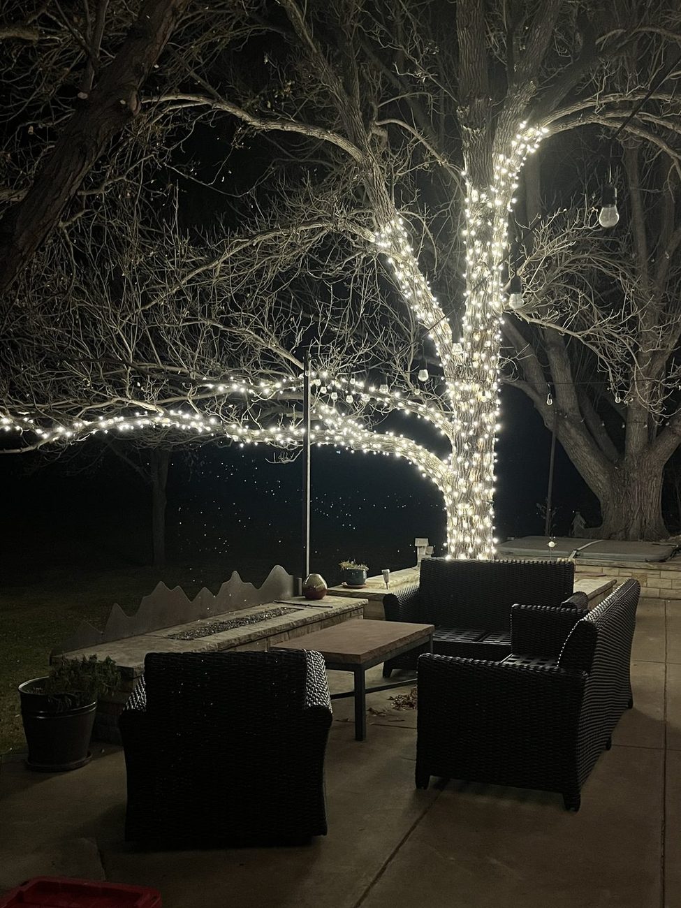 Wrapped tree branches over a backyard patio